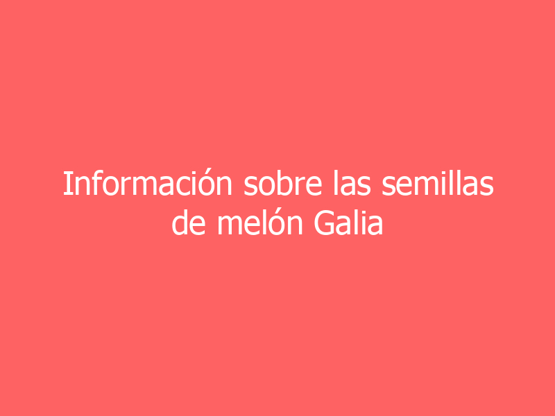 Información sobre las semillas de melón Galia