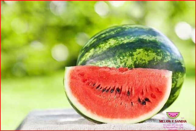 Beneficios de la sandía para combatir la retención de líquidos Beneficios de la sandía para combatir la retención de líquidos