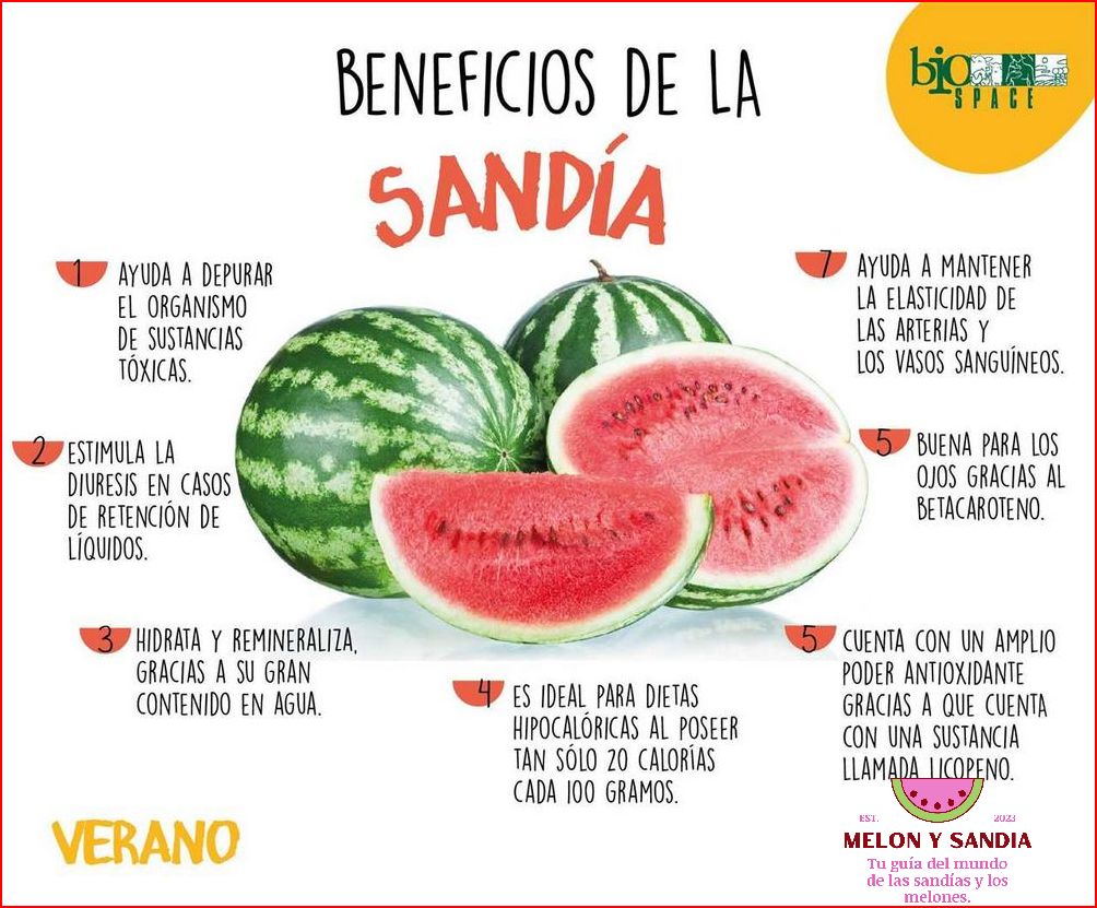 Beneficios de la sandía para combatir la retención de líquidos Beneficios de la sandía para combatir la retención de líquidos