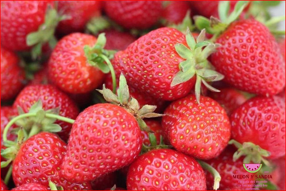 La gwanipa: una fruta refrescante para el verano La gwanipa: una fruta refrescante para el verano