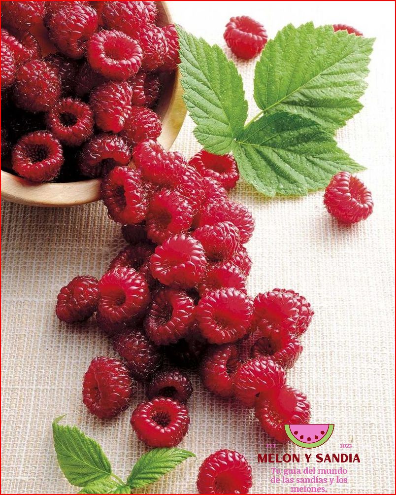 La gwanipa: una fruta refrescante para el verano La gwanipa: una fruta refrescante para el verano