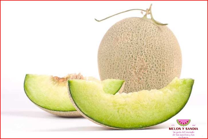 Melon cantalupo: el refrescante y dulce sabor del verano Melon cantalupo: el refrescante y dulce sabor del verano