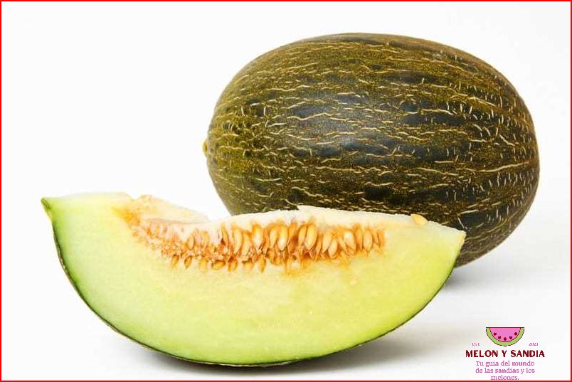 Melon cantalupo: el refrescante y dulce sabor del verano Melon cantalupo: el refrescante y dulce sabor del verano