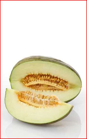 Melon cantalupo: el refrescante y dulce sabor del verano Melon cantalupo: el refrescante y dulce sabor del verano