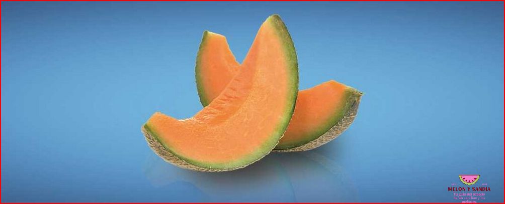 Melon con Speed: Una oda al sabor del melón Melon con Speed: Una oda al sabor del melón