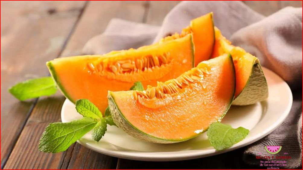 Melon con Speed: Una oda al sabor del melón Melon con Speed: Una oda al sabor del melón