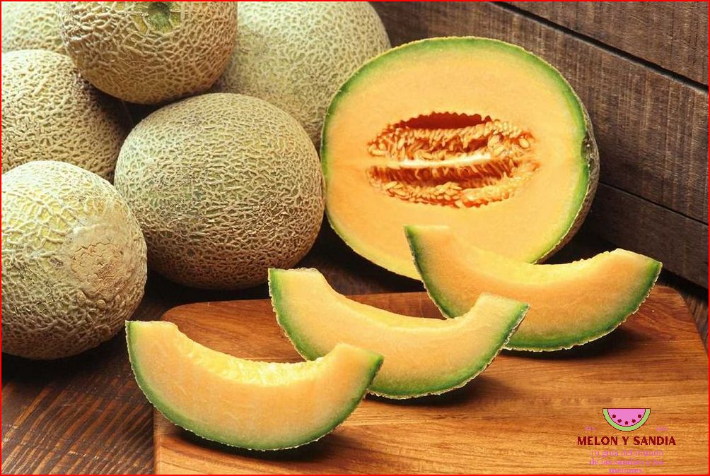 Melon con Speed: Una oda al sabor del melón Melon con Speed: Una oda al sabor del melón