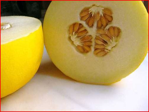 Melón criollo: una deliciosa joya de la gastronomía