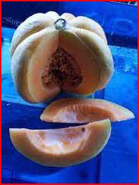 Melón criollo: una deliciosa joya de la gastronomía