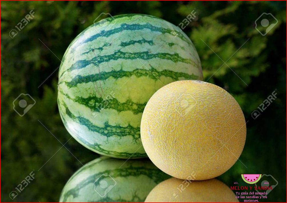 Melón y sandía: un refrescante regalo de la naturaleza Melón y sandía: un refrescante regalo de la naturaleza