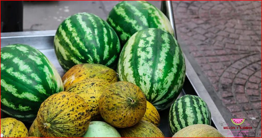 Melón y sandía: un refrescante regalo de la naturaleza Melón y sandía: un refrescante regalo de la naturaleza