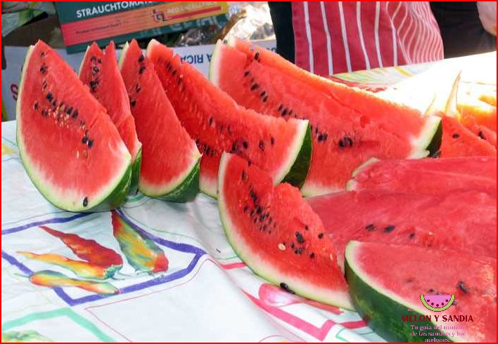Melón y sandía: un refrescante regalo de la naturaleza Melón y sandía: un refrescante regalo de la naturaleza